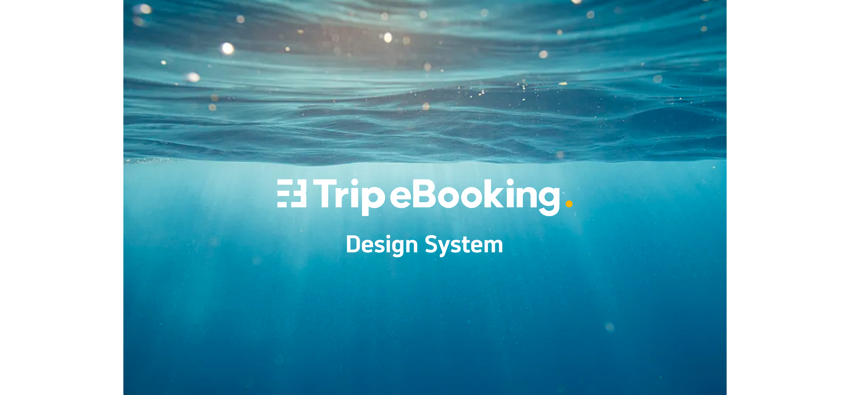 Design System for Trip E-Booking